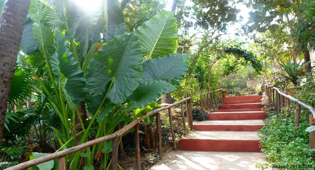 Secret Garden Resort Patnem Beach Exterior foto